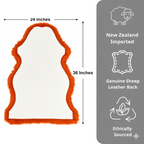 Natural Orange Sheepskin Rug – Soft New Zealand Lambskin Fur Fluffy Area Rug for Bedroom and Living Room, (Single Pelt 2x3ft)