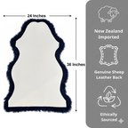 Fluffy Genuine Sheepskin Rug – Premium New Zealand Single Pelt Wool Throw (Navy,2x3 ft)