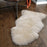 Sheepskin Rug, Genuine New Zealand Natural Thick Pile Single Pelt Sheep Skin Throw 2x3 ft